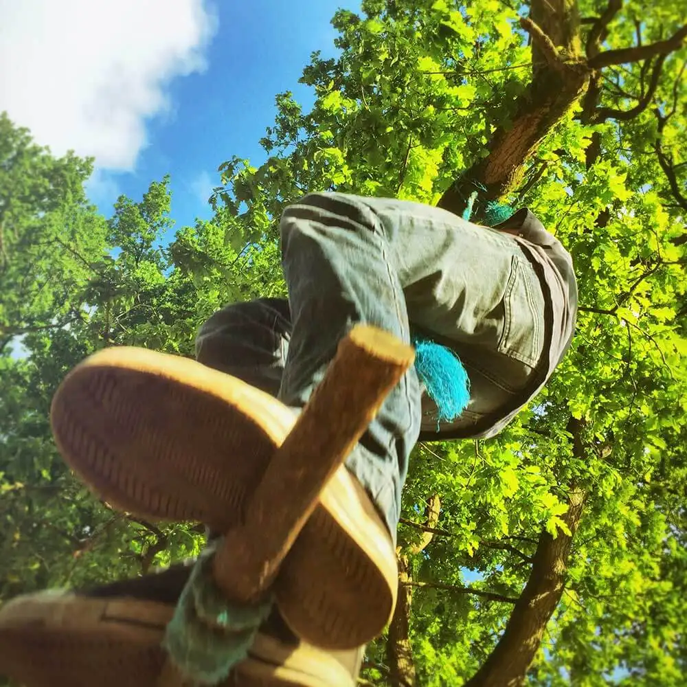 David Elagage 31, artisan spécialisé dans l’entretien des arbres